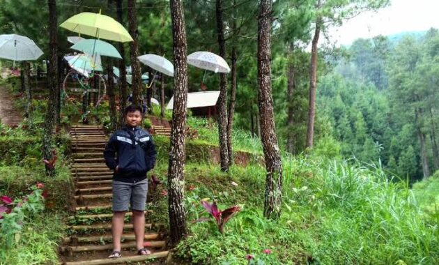 Bukit Pelangi: Menyusuri Senja di Hati Cilacap
