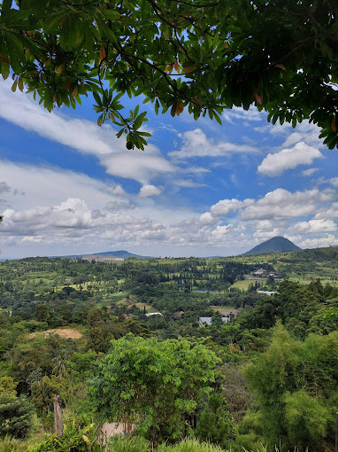 Havana Hills Without Waiting: The Secret Morning Ritual in Cilacap
